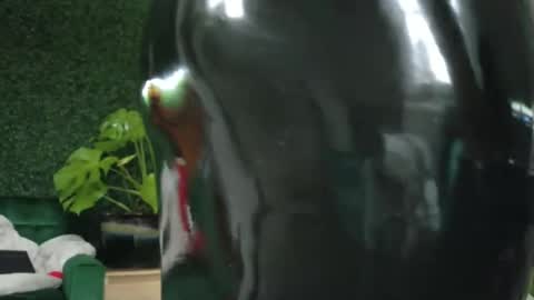 Kate online show from 19, 1, 2025