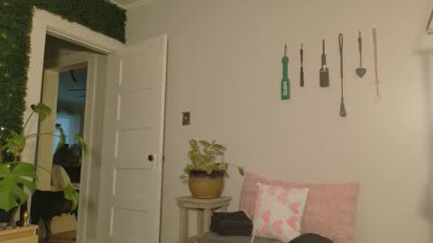 Kate online show from 20, 11, 2025