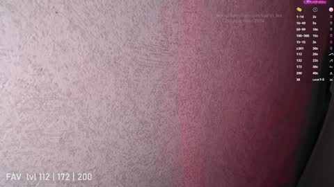 Snapshot of katrin_fox chatting on 25, 12, 2024 pvt open online show from 25, 12, 2024