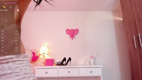 katte online show from 11, 12, 2024