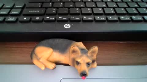 Snapshot of kawa98karbu chatting on 30, 6, 2026 kawa98karbu online show from 30, 6, 2026