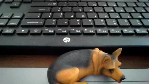 Snapshot of kawa98karbu chatting on 8, 7, 2026 kawa98karbu online show from 8, 7, 2026