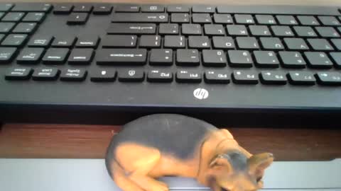 Snapshot of kawa98karbu chatting on 17, 7, 2026 kawa98karbu online show from 17, 7, 2026