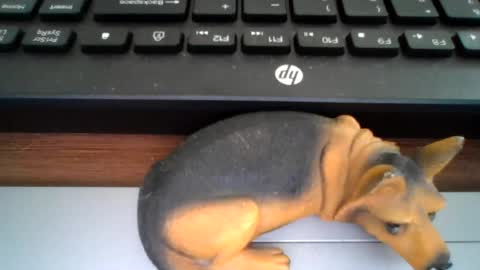 Snapshot of kawa98karbu chatting on 21, 7, 2026 kawa98karbu online show from 21, 7, 2026