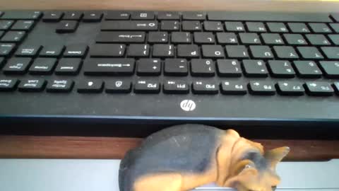 Snapshot of kawa98karbu chatting on 22, 7, 2026 kawa98karbu online show from 22, 7, 2026