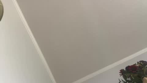 Snapshot of kcdad0001 chatting on 3, 2, 2025 kcdad0001 online show from 3, 2, 2025