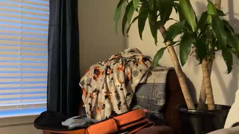 Snapshot of keaton2487 chatting on 17, 10, 2025 Keaton Keller online show from 17, 10, 2025