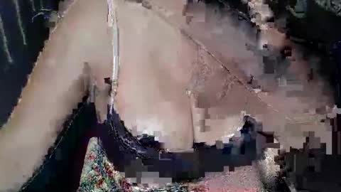 Kellyshow online show from 4, 4, 2026