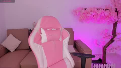   online show from 24, 2, 2026