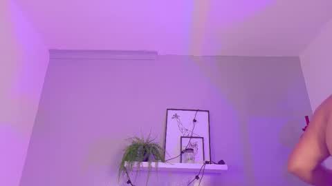   online show from 7, 10, 2025