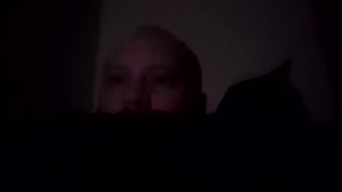 T online show from 26, 10, 2025