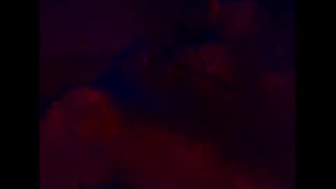 T online show from 19, 11, 2025