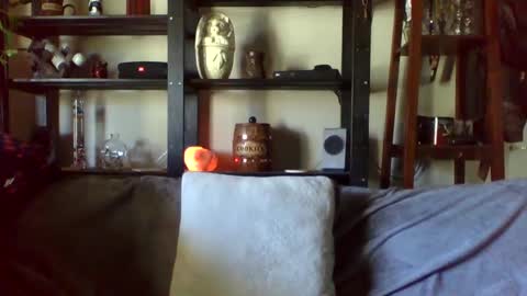 Snapshot of kenkuddles chatting on 17, 1, 2025 Ken Kuddles online show from 17, 1, 2025