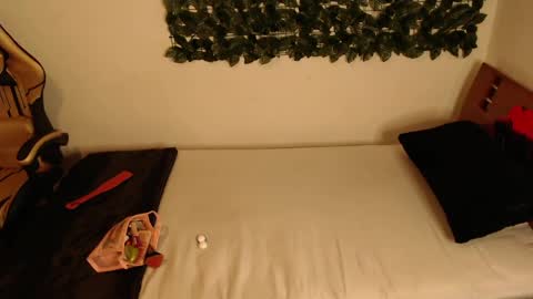 DANIELA online show from 2, 4, 2026