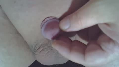 maggot online show from 15, 11, 2025