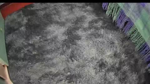Snapshot of keylasmmith chatting on 17, 4, 2026 Keyla online show from 17, 4, 2026