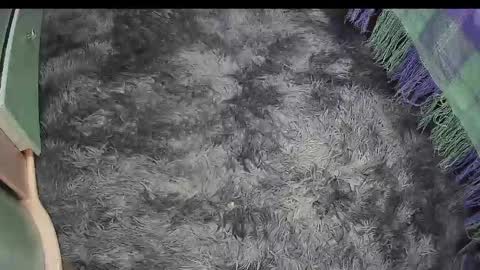 Snapshot of keylasmmith chatting on 18, 4, 2026 Keyla online show from 18, 4, 2026