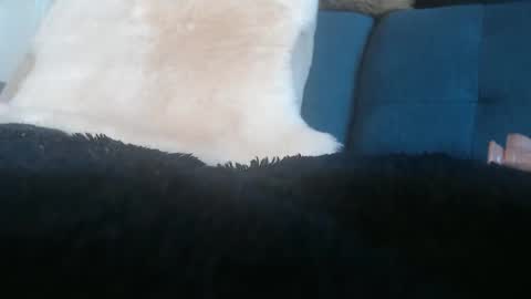 Snapshot of kimberlyfaysantana chatting on 11, 5, 2026 Kimber online show from 11, 5, 2026