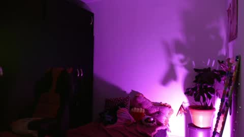 Kind Scarlett online show from 6, 5, 2026