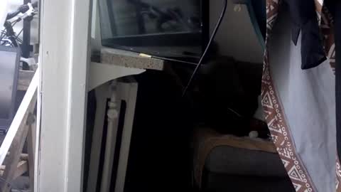 Snapshot of kinkysecretdesire chatting on 21, 5, 2026 Kinky Himeros online show from 21, 5, 2026