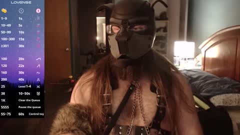 kinkywolf87 online show from 31, 12, 2024