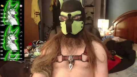 Snapshot of kinkywolf87 chatting on 5, 7, 2026 kinkywolf87 online show from 5, 7, 2026