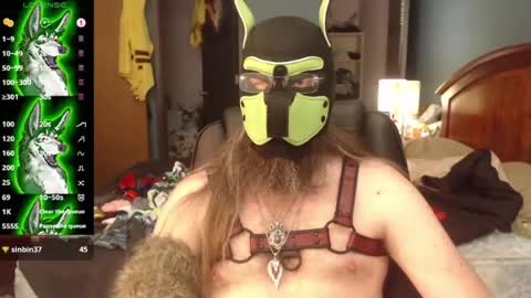 Snapshot of kinkywolf87 chatting on 8, 7, 2026 kinkywolf87 online show from 8, 7, 2026