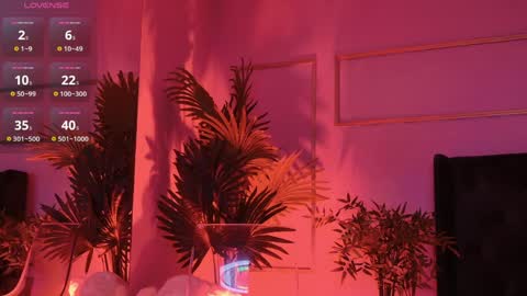 Kirra online show from 4, 4, 2026