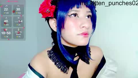 kitten_punches02 online show from 30, 11, 2025