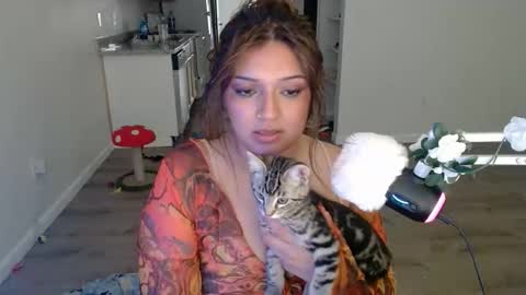Snapshot of kittengonewild chatting on 24, 5, 2026 kittengonewild online show from 24, 5, 2026