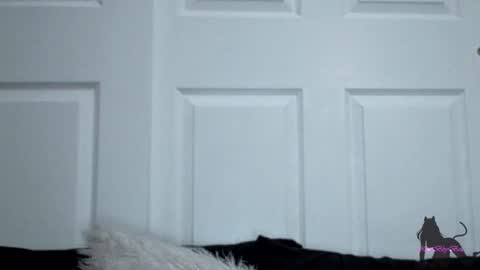 Snapshot of kittibbybells0311 chatting on 11, 11, 2025 Kitti online show from 11, 11, 2025