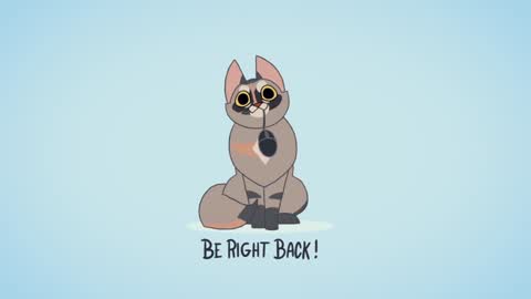 Kitty online show from 1, 12, 2024