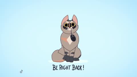Kitty online show from 13, 2, 2025