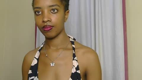 sugar plum online show from 3, 7, 2026