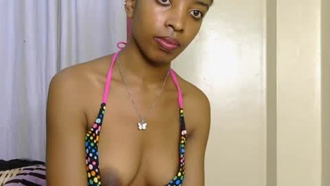 sugar plum online show from 17, 7, 2026