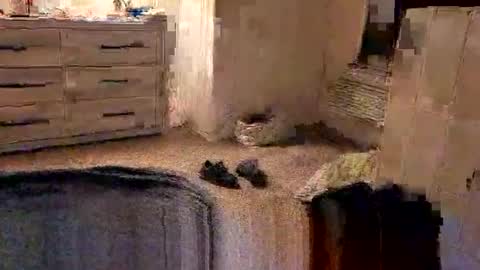 kittykat175154 online show from 27, 2, 2026