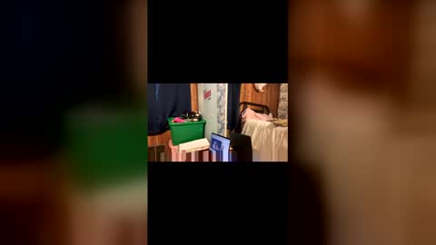 kittypurrrrry online show from 31, 3, 2026