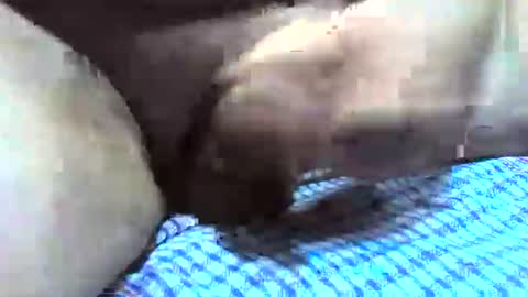 klok8230 online show from 16, 12, 2025