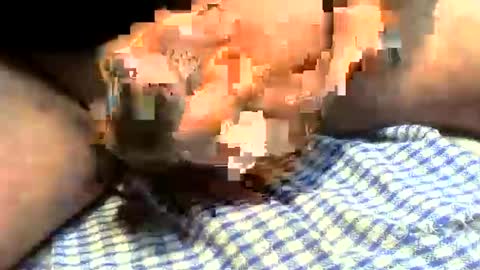 klok8230 online show from 27, 3, 2026