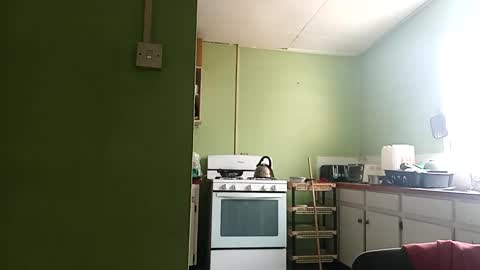 Prince makonnen  online show from 1, 3, 2025