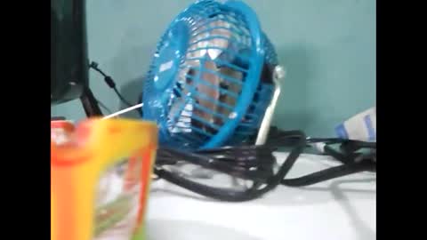 Snapshot of koto420 chatting on 31, 12, 2024 Koto Bombon online show from 31, 12, 2024