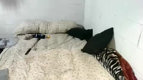 Katybaby online show from 13, 1, 2026