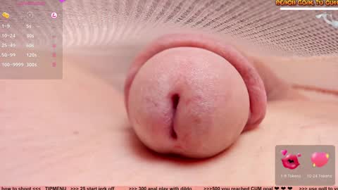 Petra online show from 5, 1, 2025