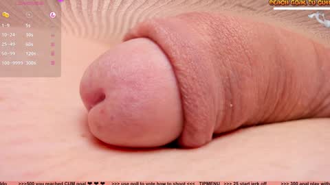 Petra online show from 22, 1, 2025