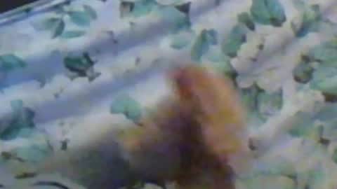 kren565656 online show from 10, 12, 2024