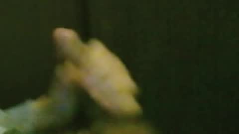 kren565656 online show from 20, 10, 2025