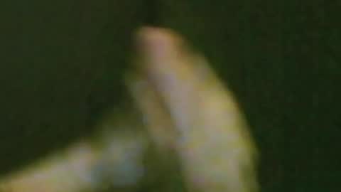 Snapshot of kren565656 chatting on 3, 8, 2026 kren565656 online show from 3, 8, 2026