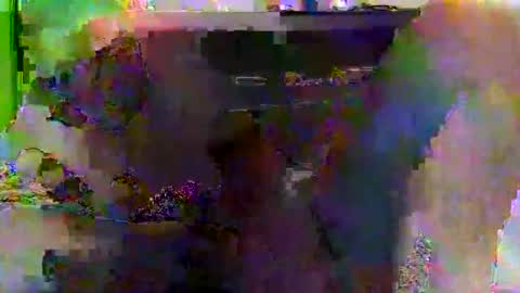 Snapshot of kylevogt2024 chatting on 14, 4, 2026 kylevogt2024 online show from 14, 4, 2026
