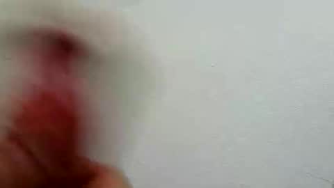 l0cean online show from 26, 2, 2026