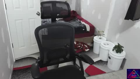 l1v1nth3dr3am online show from 10, 11, 2025